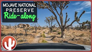 RideAlong Through MOJAVE NATIONAL PRESERVE Old Relics amp Beautiful Nature Scenery [upl. by Aikehs226]