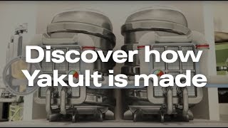 Yakult  How It’s Made [upl. by Shear]