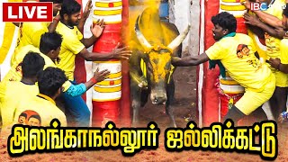 🔴Live  Alanganallur Jallikattu 2023  அலங்காநல்லூர் ஜல்லிக்கட்டு சிறப்பு நேரலை  IBC Tamil [upl. by Saalocin654]