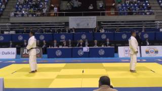 World Judo Kata Championship MALAGA NageNoKata Japan MSakamoto amp T Yokoyama [upl. by Olshausen35]