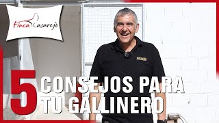 5 Consejos para tu Gallinero 🐓 [upl. by Anolahs911]