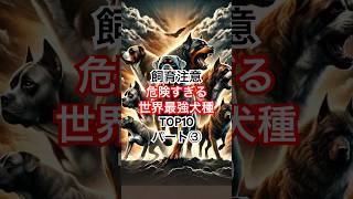 飼育注意！世界最強犬種TOP10 パート③ 3位〜1位 動物 雑学 最強 犬 イヌ [upl. by Stahl841]