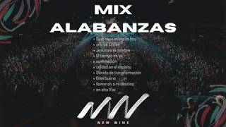 MÚSICA CRISTIANA  ALABANZAS  New Wine  MIX  GOZO [upl. by Edivad935]