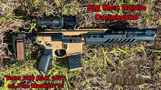 Sig Saurer Mcx Rattler Canebrake  Overview  My Setup First Person POV [upl. by Olympia]