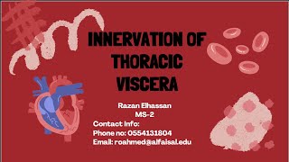 Innervation of Thoracic Viscera  Razan Elhassan  CVP 112 [upl. by Ailaroc414]