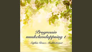 Progressiv muskelavslappning 1 [upl. by Aleakcim]