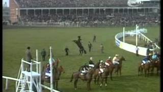 1974 Aintree Grand National Red Rum extended full race coverage [upl. by Threlkeld]