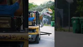 Dinos Have Arrived at Zoo Miami [upl. by Lilybelle763]