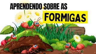 Aprendendo sobre as FORMIGAS As formigas são um grande exemplo  Vídeo Infantil sobre as formigas [upl. by Selohcin]