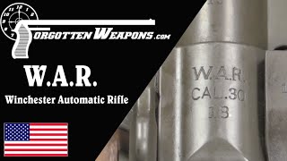 WAR  the Winchester Automatic Rifle [upl. by Ferne]