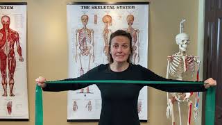 7Point Posture Program Exercises 4 amp 5 Strengthening the Rhomboids [upl. by Aitas]