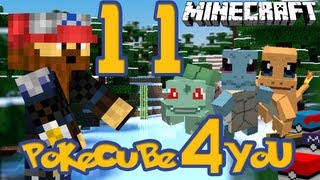 Pokecube 4 You  Episodio 11  Generations [upl. by Gonick54]