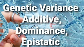 Genetic variance Additive Dominance Epistatic variance [upl. by Zetnauq]