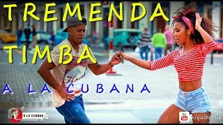 EXCELENT TIMBA CUBANA en La Habana  rumba salsa cubana [upl. by Ahsilad]