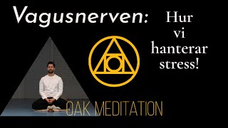 Avsnitt 7 Vagusnerven  Hur vi hanterar stress Meditation och vetenskap  Säsong 1 [upl. by Berners]