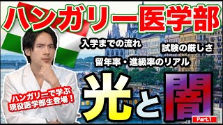 【ハンガリー医学部の光と闇】入学までの流れから留年・進級のリアルまで現役医学部生が全てを語ります。【Part1】 [upl. by Ghiselin742]