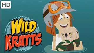 Wild Kratts  Food Fun and Creature Rescues with Jimmy [upl. by Gustin]