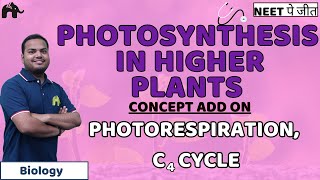 Photosynthesis in Higher Plants Class 11 NEET  Photorespiration C4 Cycle  Biology [upl. by Pergrim]