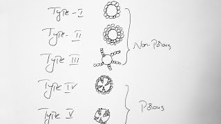 Adsorption isotherms different types in hindi [upl. by Dutchman35]