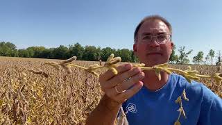 Estimating Soybean Harvest Top Crop Agronomy Updates [upl. by Litton183]