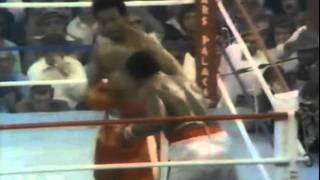 George Foreman vs Ron Lyle Highlights [upl. by Farrar425]