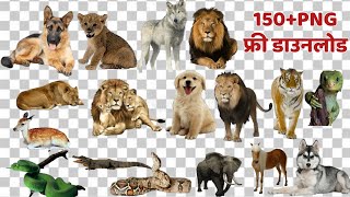 All animal Png download free Dog png horse pngSnake png tiger png lion Png free download [upl. by Schwing]