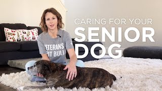 Caring For Your Senior Dog [upl. by Sender]