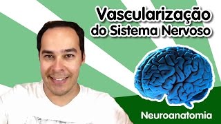 Neuroanatomia 11  Vascularização do Sistema Nervoso [upl. by Nor]