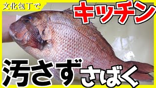 鯛のさばき方文化包丁でキッチンで）3枚卸しHow to dress fish with Santoku knife [upl. by Hanny]