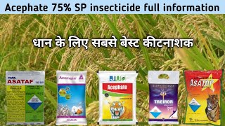 Acephate 75 SP Insecticide धान के लिए सबसे बेस्ट कीटनाशक [upl. by Meuse359]