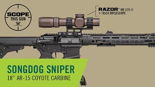 AR15 Build for Coyote Hunting  Scope This Gun [upl. by Aerdnaeel]