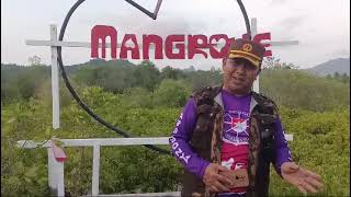 Safari Camp Jambore Cabang Trenggalek 2024 di Cengkrong [upl. by Gathard]