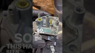 Cleaning diesel injectors with simple green in ultrasonic cleaner [upl. by Salohci177]