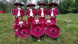 Mañanitas cristianas Otro año feliz mariachi Milagro del Rey [upl. by Ybreh672]