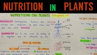 Nutrition in plants chapter 1 class 7  Nutrition in plants class 7  class 7 nutrition in plants [upl. by Carson]