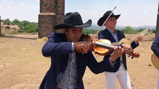 El Pávido Návido  Trio Sinfonia Huasteca [upl. by Nattirb388]