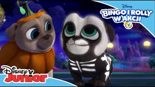 Bingo i Rolly w akcji  Halloweenowa przygoda  Tylko w Disney Junior [upl. by Evoy]