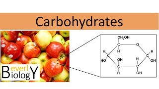 Carbohydrates regular biology [upl. by Behn]