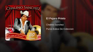 Chalino Sanchez El Pajaro Prieto [upl. by Laundes]