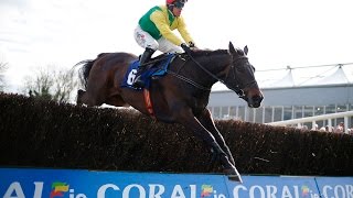 Sizing John  Coral Punchestown Gold Cup [upl. by Malanie]