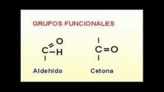 Biología  Monosacaridos [upl. by Loring]