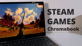 Play Steam Games on Chromebook  2021 [upl. by Soinotna795]