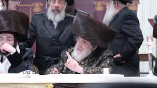 Viznitz Rebbe At Machnovka Wedding Cheshvan 5785 [upl. by Annairba]