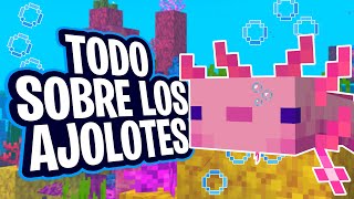 Como DOMESTICAR Y Donde ENCONTRAR Ajolotes En Minecraft [upl. by Ahtabbat]