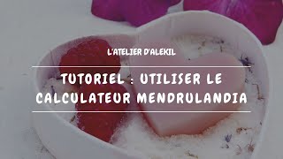 🧼 Tutoriel utiliser le calculateur Mendrulandia pour la saponification à froid [upl. by Asylla]