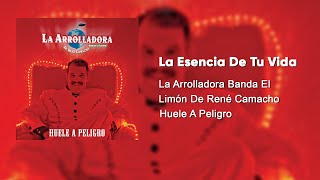 La Arrolladora Banda El Limón De René Camacho  La Esencia De Tu Vida Audio [upl. by Pinchas391]