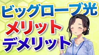 ビッグローブ光のメリット・デメリットを徹底解説【5分でサクッとわかる】 [upl. by Beck907]