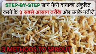 How to sprout Fenugreek Seeds  Methi Dana Benefits and Nutrition  How to make Sprouts [upl. by Quennie]