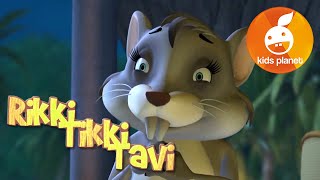 RIKKI TIKKI TAVI Episode 5  cartoons for kids  stories for children  Jungle book by R Kipling [upl. by Cathy289]