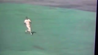 Roberto Clemente Amazing Spin amp Throw Gets Merv Rettenmund [upl. by Adriell]